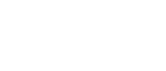 light logo